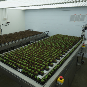 Observatoire du Végétal - Phenoscope