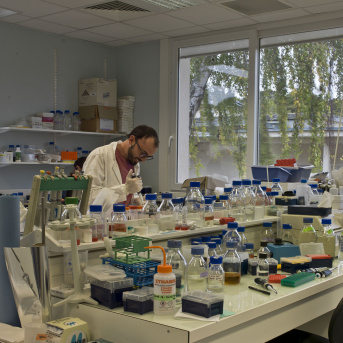 Observatoire du Végétal - Biochimie