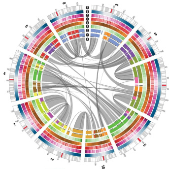 Equipe bio-informatique et informatique