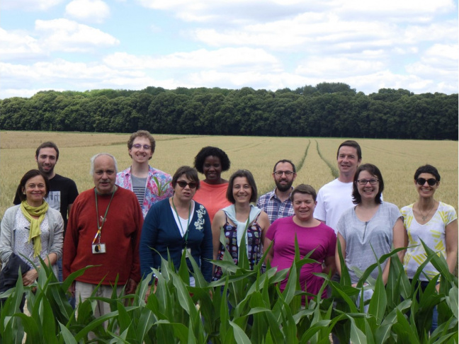 Team picture (July 2018)