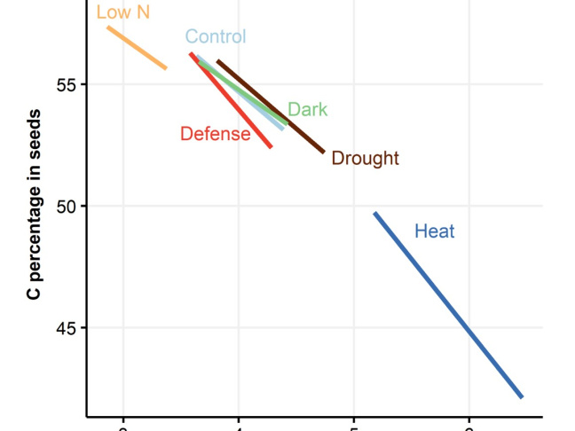 Schematic representation of the orthogonal regression of C:N stoichiometry in seeds in the different conditions.