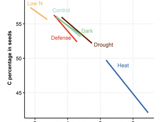 Représentation schématique de la régression orthogonal du ratio C/N stochiométrique des graines dans différentes conditions.