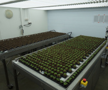 High-throughput phenotyping on the PO-Phenoscope platform