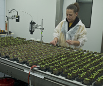 Elodie in front of the Phenoscope