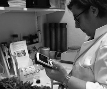 Echantillonnage d’exsudats foliaires sur Arabidopsis