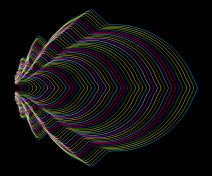 Developmental trajectory of a young Arabidopsis leaf