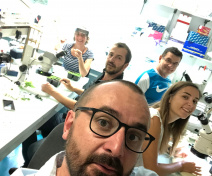 Tissue sampling session by the FTA team