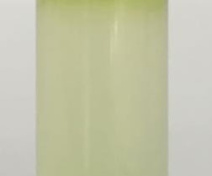 Gradient de Percoll, purification de mitochondries