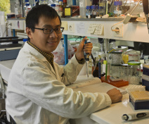 Team Member (Chuande Wang)