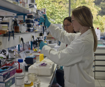 Team Member (Lisa Blondel et Céline Dargel-Graffin)