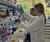 Membre de l’équipe (Lisa Blondel et Céline Dargel-Graffin)