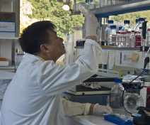 Team Member (Tan-Trung N’Guyen)