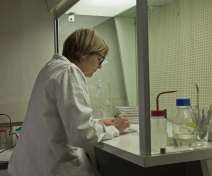 Team Member (Martine Quadrado)