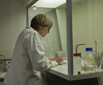 Membre de l’équipe (Martine Quadrado)