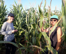 Team members in a maze field trial