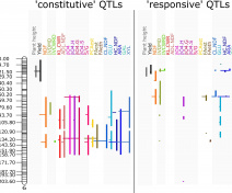 QTL mapping in maize (Virlouvet et al, 2019)