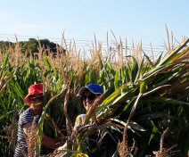 Christine and myself at silage stage at DIASCOPE.