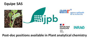 Contrat post-postdoctoral dans le domaine de la chimie analytique des plantes