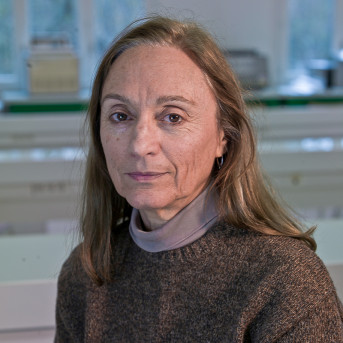 Sylvie Ferrario-Méry