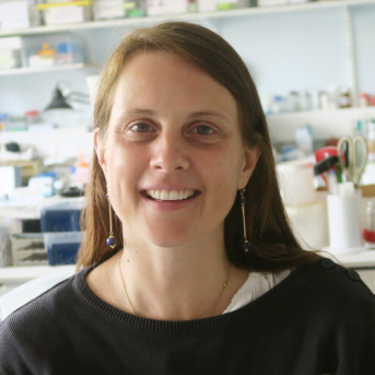 Marie-Noëlle VALLERY-RADOT