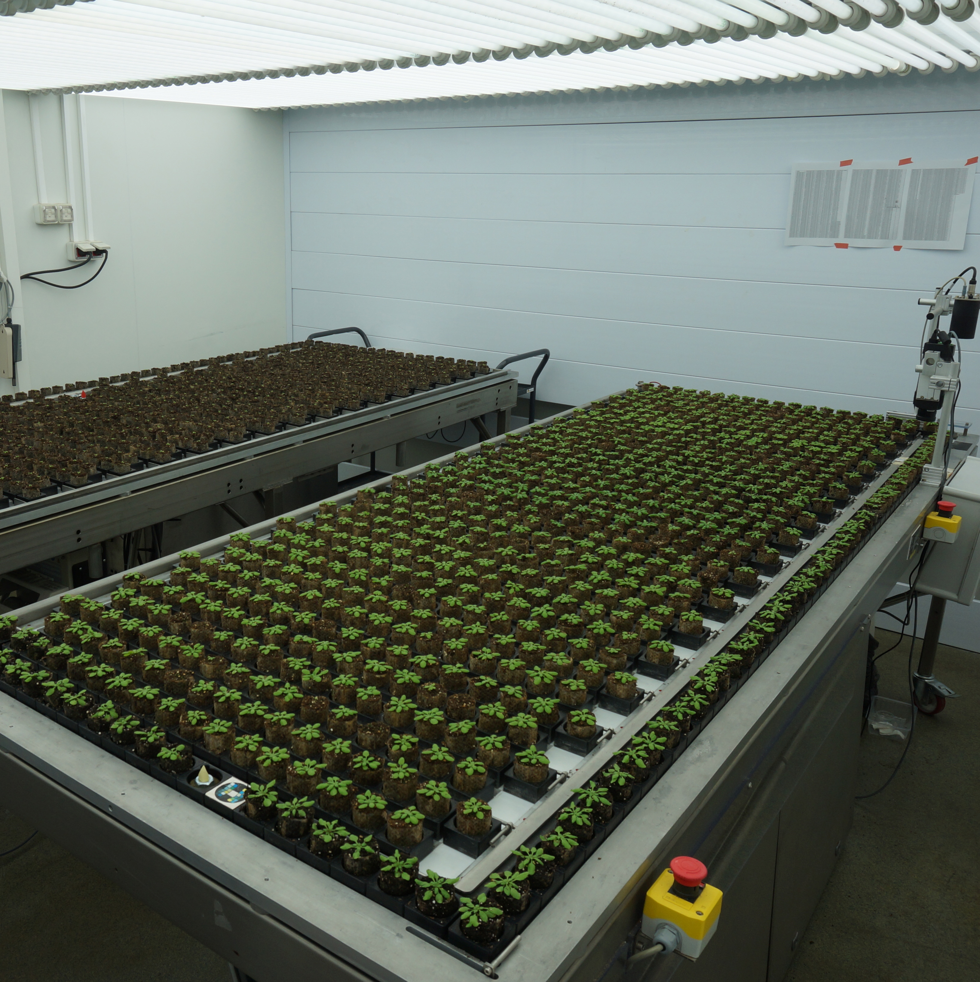 Observatoire du Végétal - Phenoscope