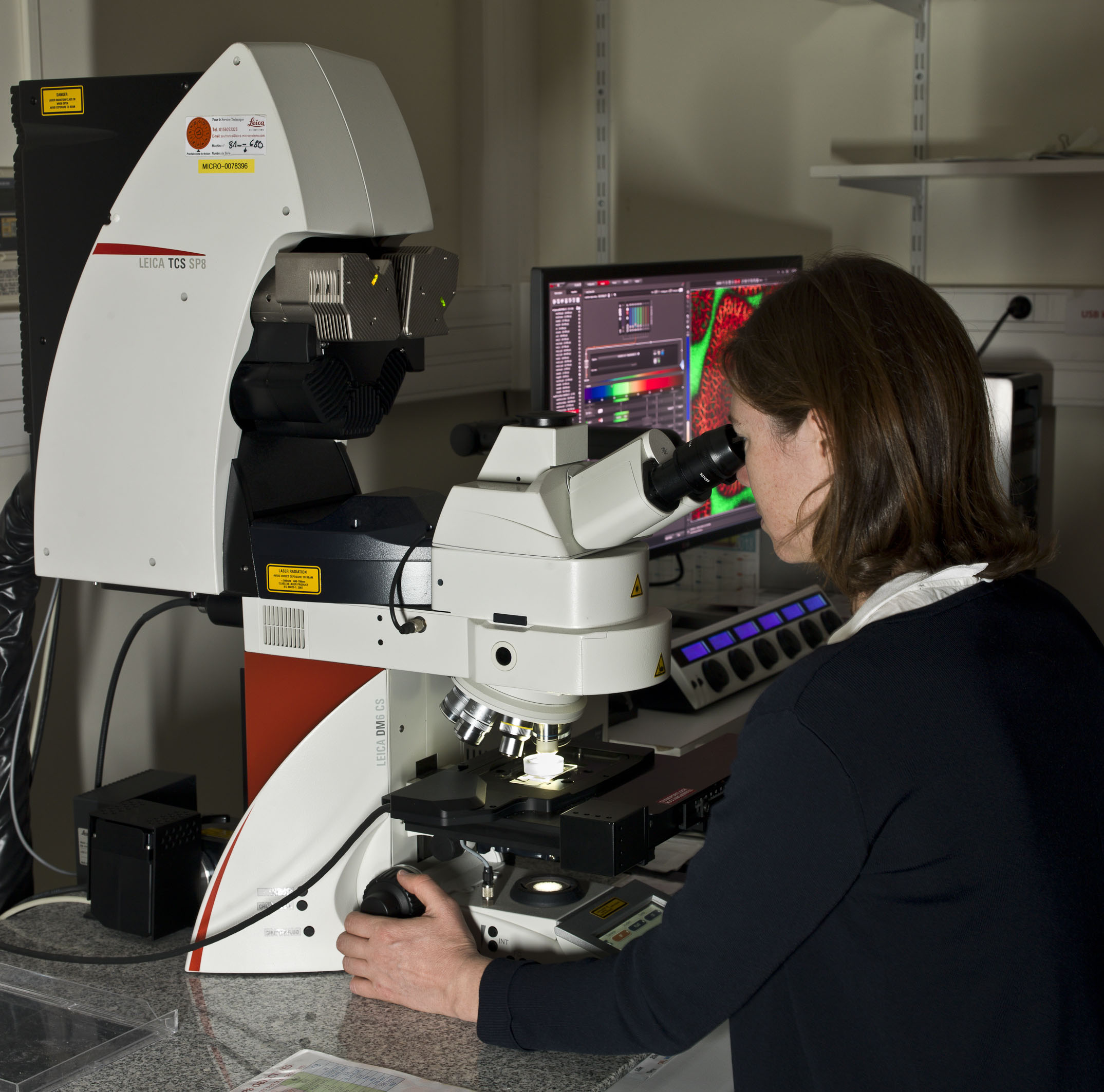 Observatoire du Végétal - Cytologie/Imagerie