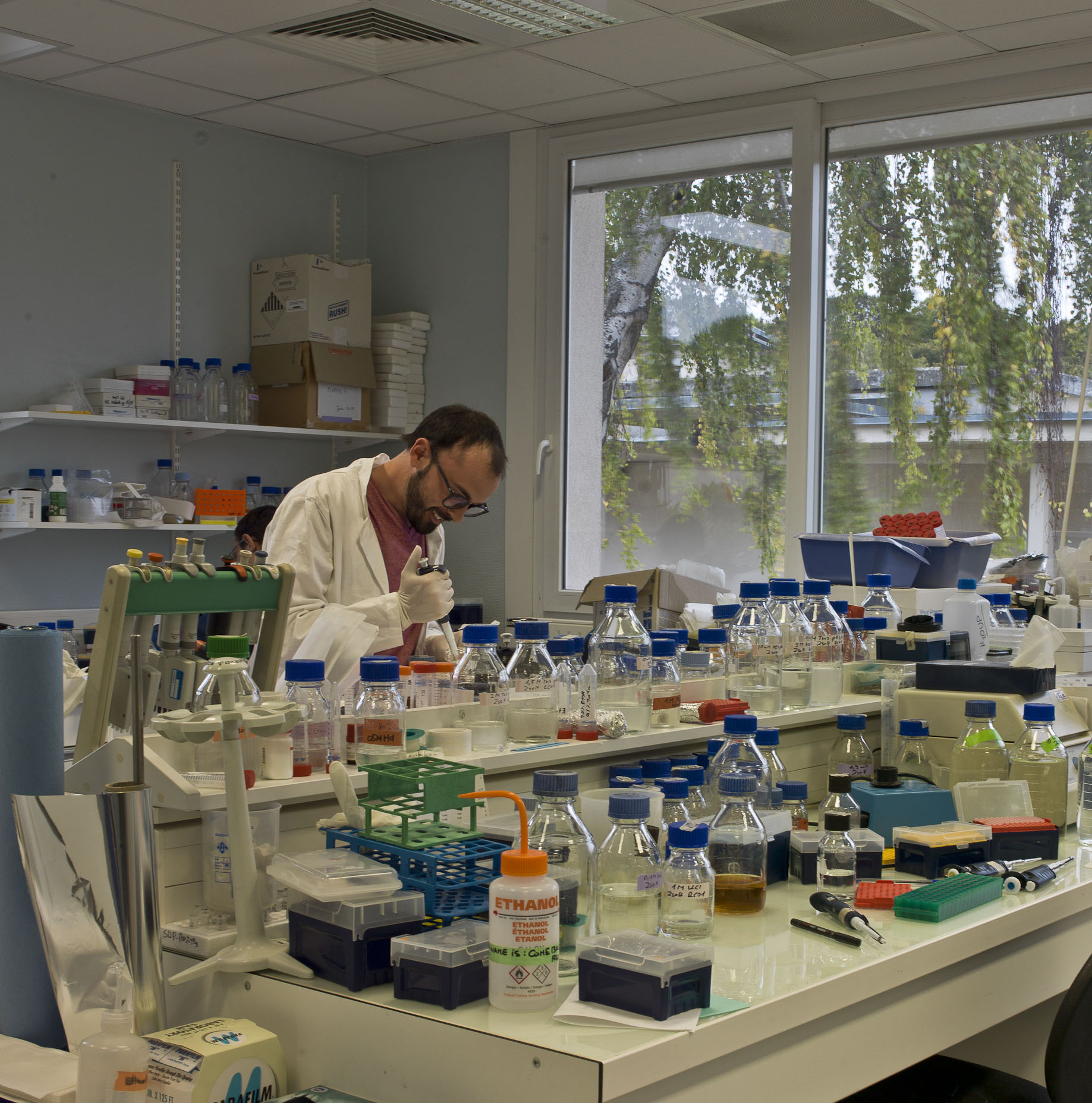 Observatoire du Végétal - Biochimie