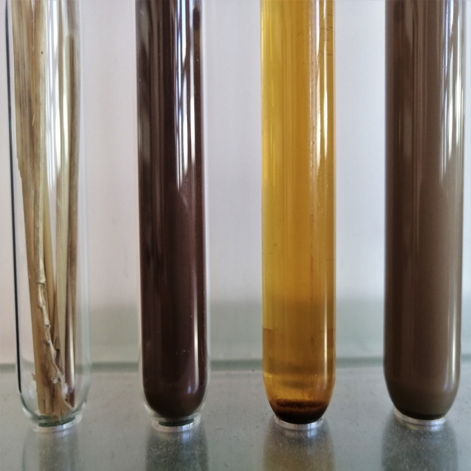 Biopolymères lignocellulosiques : des assemblages pariétaux aux synthons pour la chimie verte