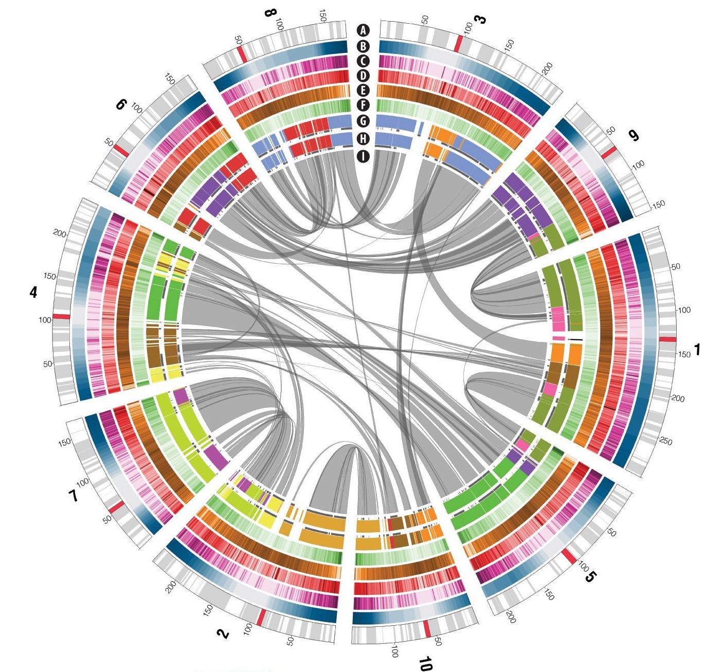 Equipe bio-informatique et informatique
